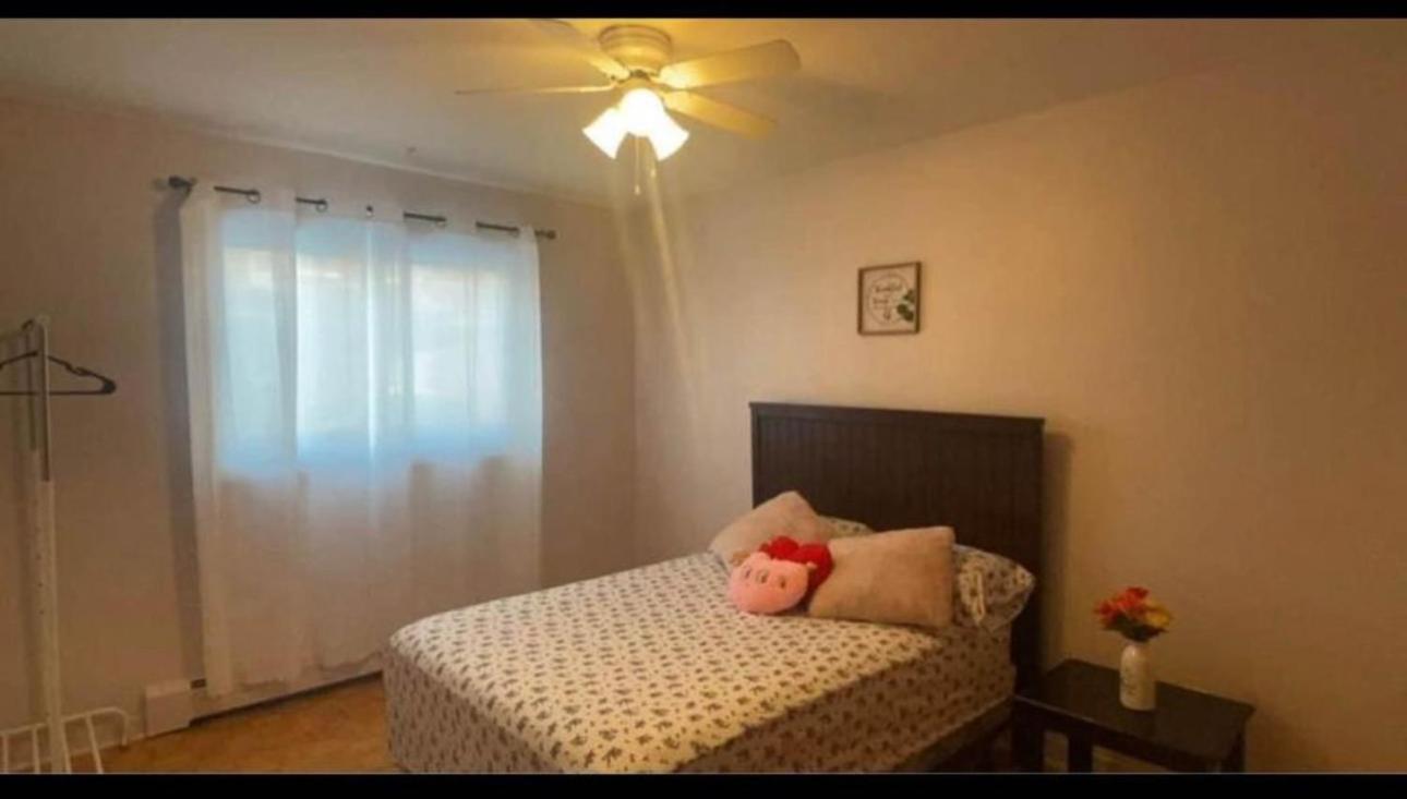 Apartment Cozy In *